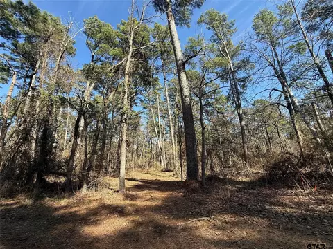 lot2 Private Road 8573, Winnsboro, TX 75494