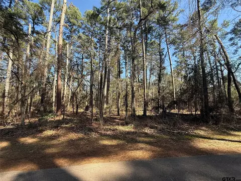 lot3 Private Road 8573, Winnsboro, TX 75494