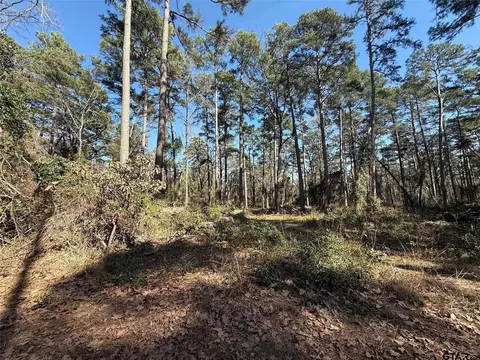 lot4 Private Road 8573, Winnsboro, TX 75494