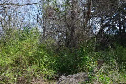 704 Duckenfield Ave, Tyler, TX 75701