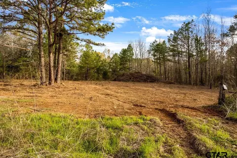 19353 County Road 2153 #LOT 1, Troup, TX 75789