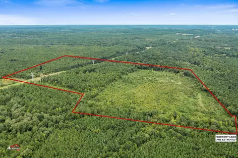 tbd Fm 95, Mount Enterprise, TX 75681