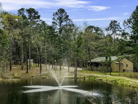 450 Cr 3595 12234 Acres, Winnsboro, TX 75494