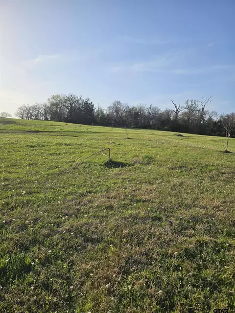 tbd Farm To Market 515, Como, TX 75431