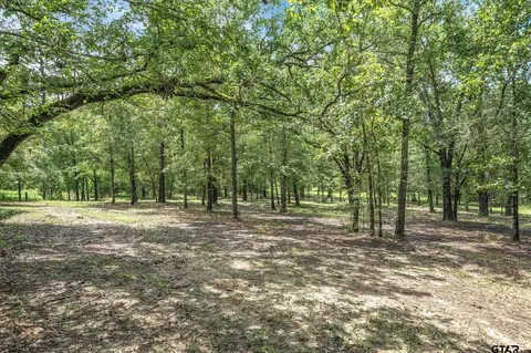 tbd Vz County Road 1804, Grand Saline, TX 75140