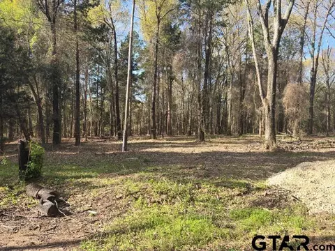 201 Vz County Road 4700, Ben Wheeler, TX 75754