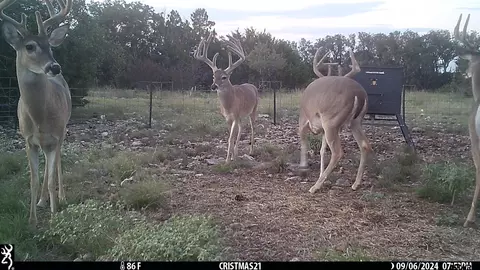 lot15 Contrary Creek Rnch, Rocksprings, TX 78880