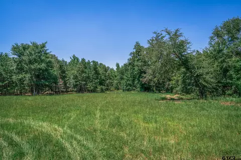 tbd Cr 244 Tract 4, Overton, TX 75684