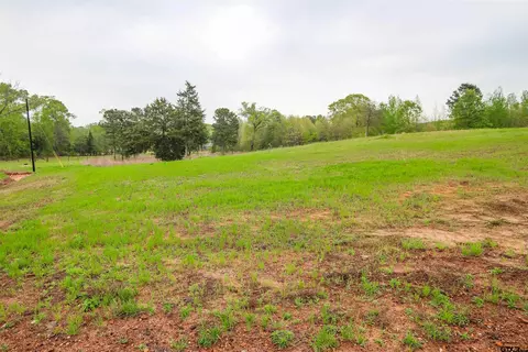 tbd Creek Bottom Ct, Winona, TX 75792