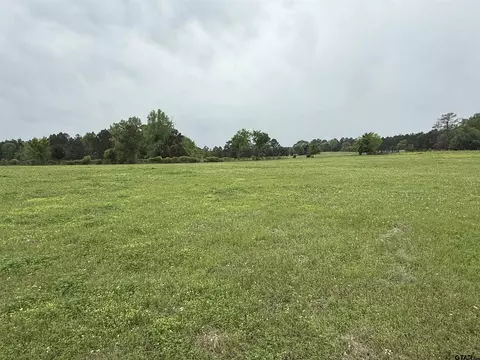 tbd Cr 1314 - Lot 3 Blk 2, Rusk, TX 75785
