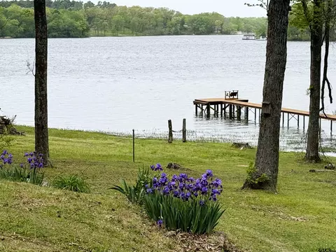 437 County Road 4846, Winnsboro, TX 75494