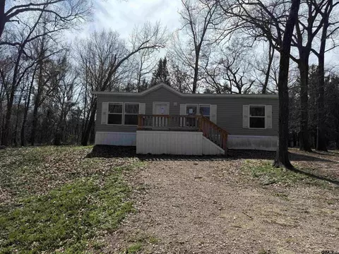 3120 County Road 4503, Ben Wheeler, TX 75754