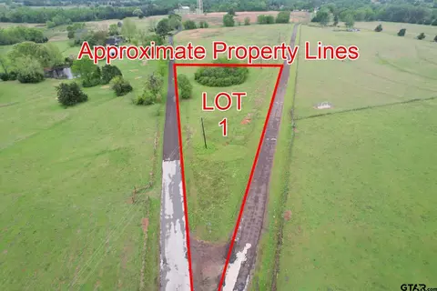 lot1 County Road 42864287, Winnsboro, TX 75494