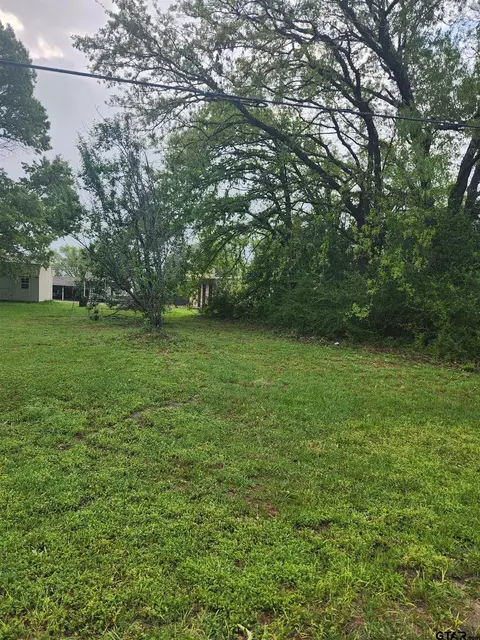Tammi Trl, Tyler, TX 75709