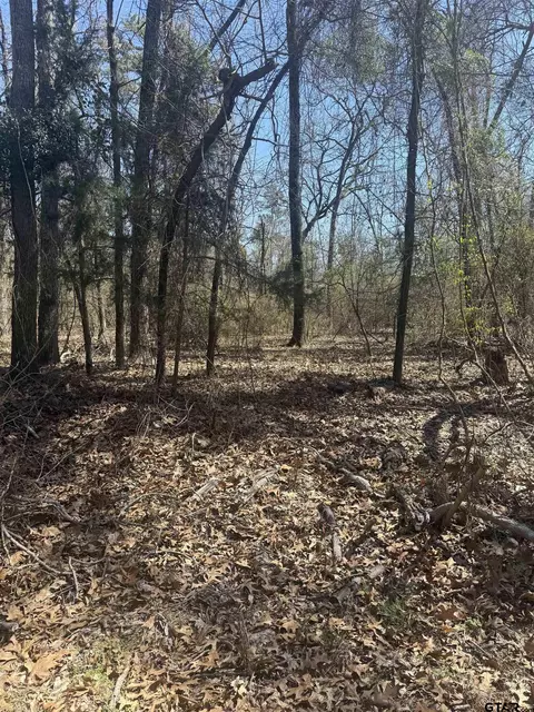 tbd King Arthur Court Lots 56, Scroggins, TX 75480