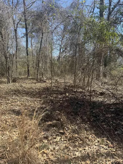 tbd King Arthur Court Lots 789303132, Scroggins, TX 75480