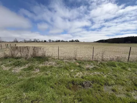 3029 County Road 4905, Troup, TX 75789