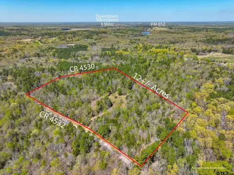 tbd Cr 4530, Winnsboro, TX 75494