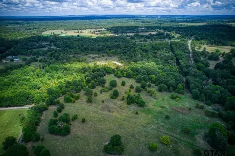 000 Fm 321, Palestine, TX 75803