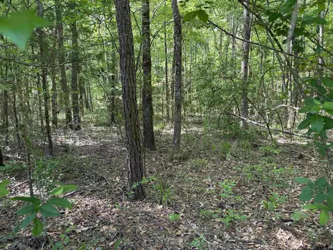 23830 E Hwy 64, Troup, TX 75789