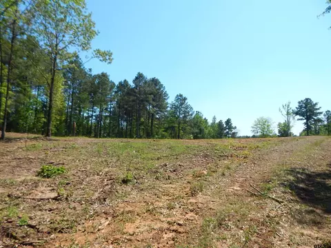 tbd 15 Acres Fm 1795 Side 1, Big Sandy, TX 75755