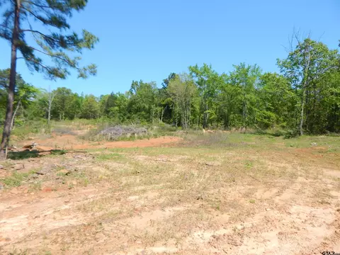 tbd 15 Acres Fm 1795 Side 2, Big Sandy, TX 75755