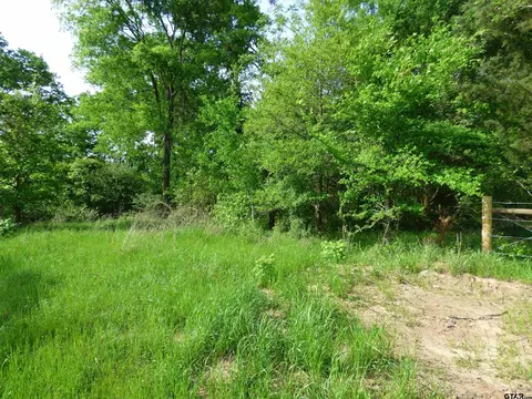 tbd County Road 2720, Mount Pleasant, TX 75455