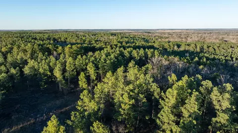 000 Hwy 64 #3, Ben Wheeler, TX 75754
