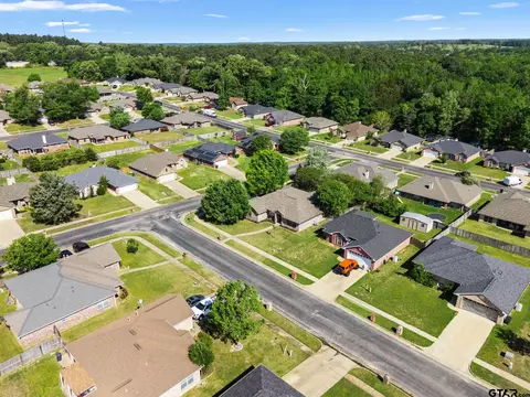 11684 Three Chimneys Dr, Flint, TX 75762 photo 35