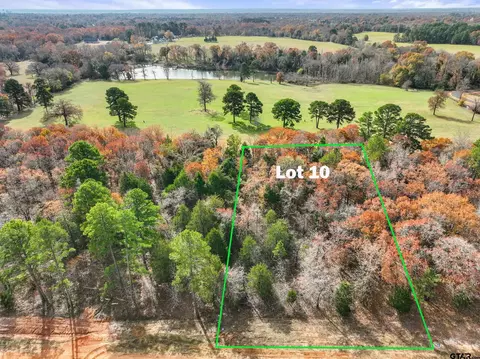 tbd Pr 6305 #LOT 10, Mineola, TX 75773
