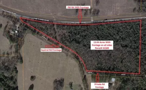 13 Acres Fm 2455, Pittsburg, TX 75686