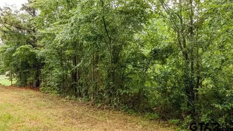 lot46 Pr 7011, Frankston, TX 75763