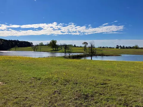 lot49 White Oak Creek Rnch, Big Sandy, TX 75755