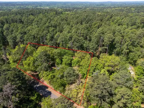 tbd Timberidge Trl, Holly Lake Ranch, TX 75765