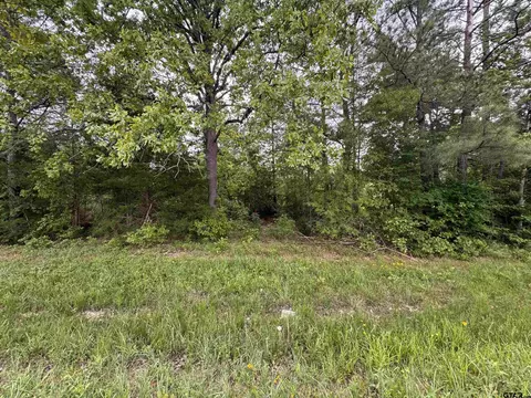 tbd Hwy 43, Jefferson, TX 75657