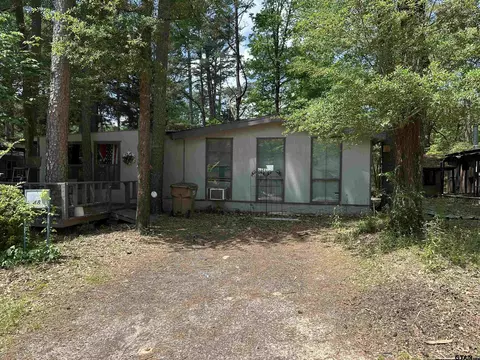 48 King Fisher, Winnsboro, TX 75494