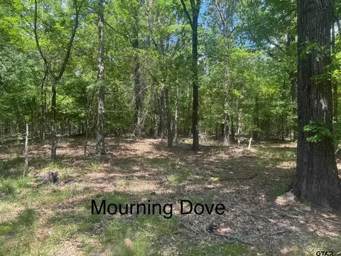 lot14 Mourning Dove Ln, Mount Vernon, TX 75457
