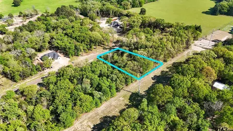 tbd Pr 6305 #LOT 60, Mineola, TX 75773