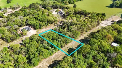 tbd Pr 6305 #LOT 61, Mineola, TX 75773