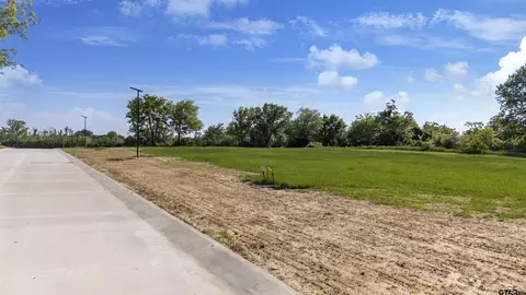 104 W Teal Dr, Troup, TX 75789
