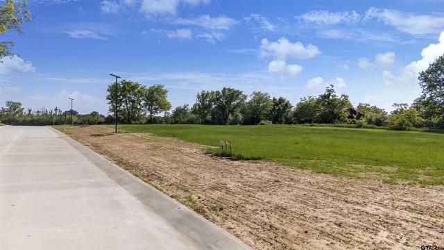 104 W Teal Dr, Troup, TX 75789