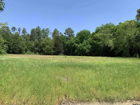 lot2 Gibson Rd, Athens, TX 75751