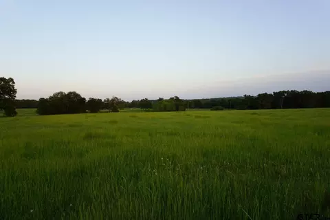 71 Private Rd 5209, Athens, TX 75751