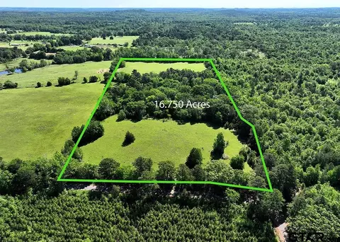 tbd Ginger Rd Trace 3 1675 Ac, Gilmer, TX 75644