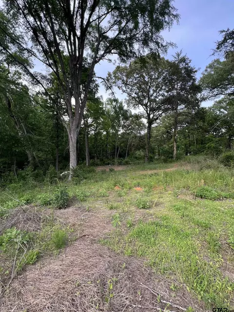 tbd County Road 334, Tyler, TX 75706 photo 5