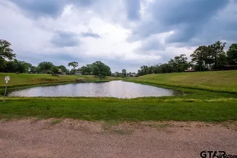 525 Comanche, Quitman, TX 75783 photo 30