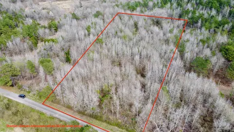 Tract 1 And 2 County Road 4305, Naples, TX 75568