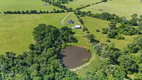 1412 An County Road 431, Tennessee Colony, TX 75861