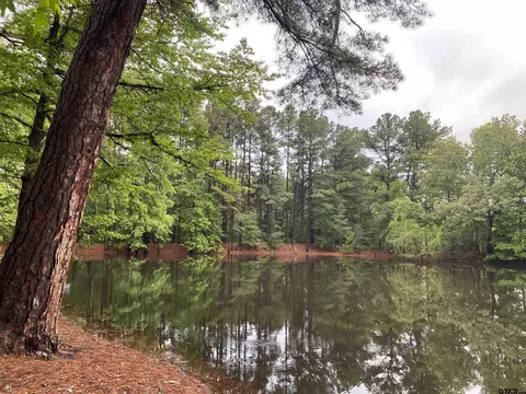 350 Cr 2155, Quitman, TX 75783