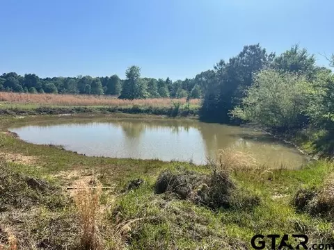 1234 Private Rd, New Summerfield, TX 75780